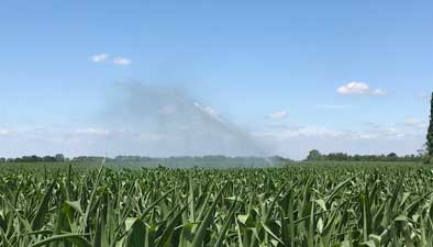 beregenen maisland// watering maize land