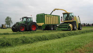 Melkvee-Ruwvoer-Gras-hakselen-Origineel